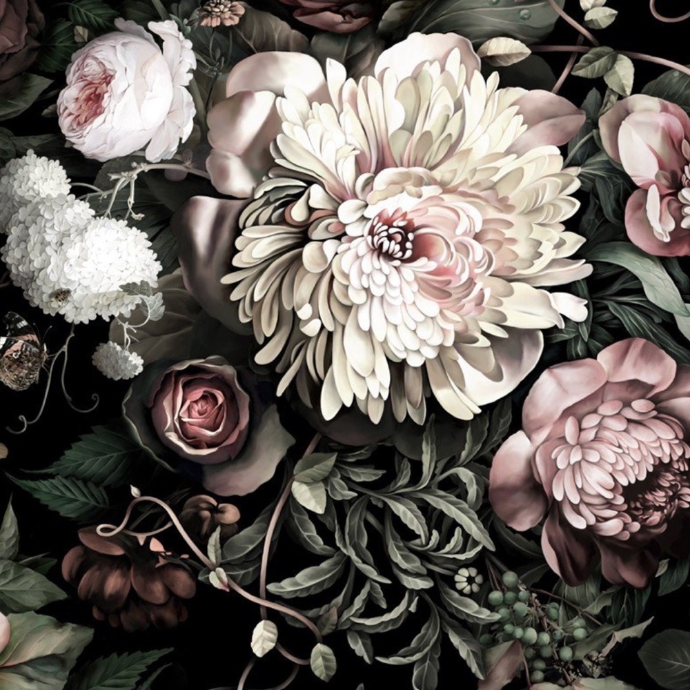 Meet your Posher, Vanessa